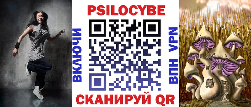 Галлюциногенные грибы Cubensis  Купить где  Апшеронск 