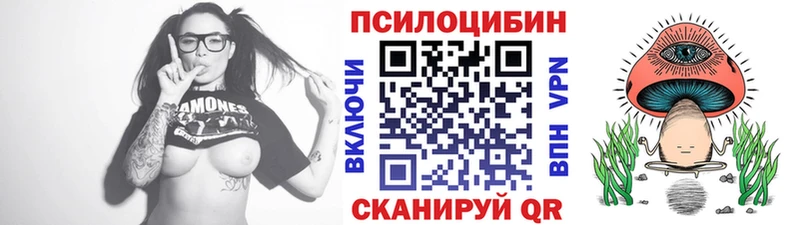Галлюциногенные грибы Psilocybe Апшеронск